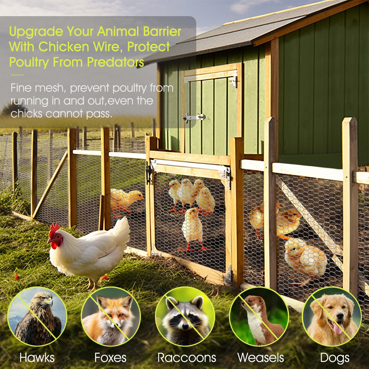 24 Rifny chicken wire fencing 60ft length ideal for large areas.