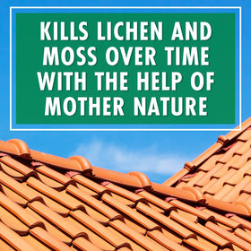 30 SECONDS Brickwork mildew control on wall exterior.