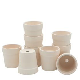 4E's Novelty 12-pack ceramic pots offer affordable garden decor.