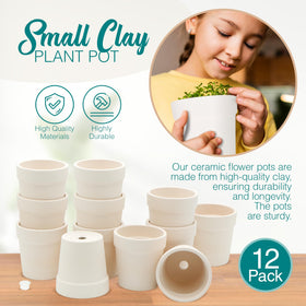 4E's Novelty ceramic pot with bottom drainage hole supports healthy root growth.