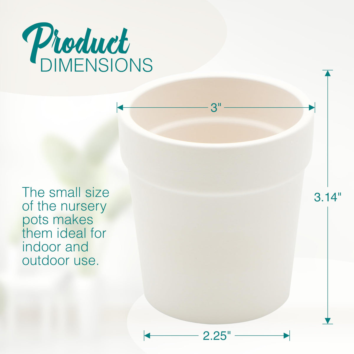 4E's Novelty versatile pot for indoor and outdoor succulent displays.