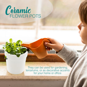 4E's Novelty matte finish ceramic pot adds sleek style to any space.