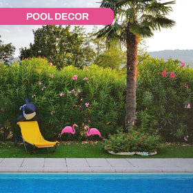 UV-resistant pink flamingos keep colors bright across seasons