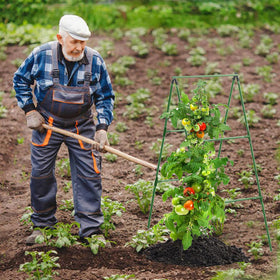 7Queen A-frame Trellis provides sturdy vertical support for cucumbers and beans.