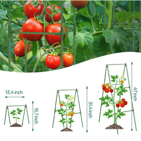 7Queen Complete pack includes 17 stakes and 8 connectors for a quick garden setup