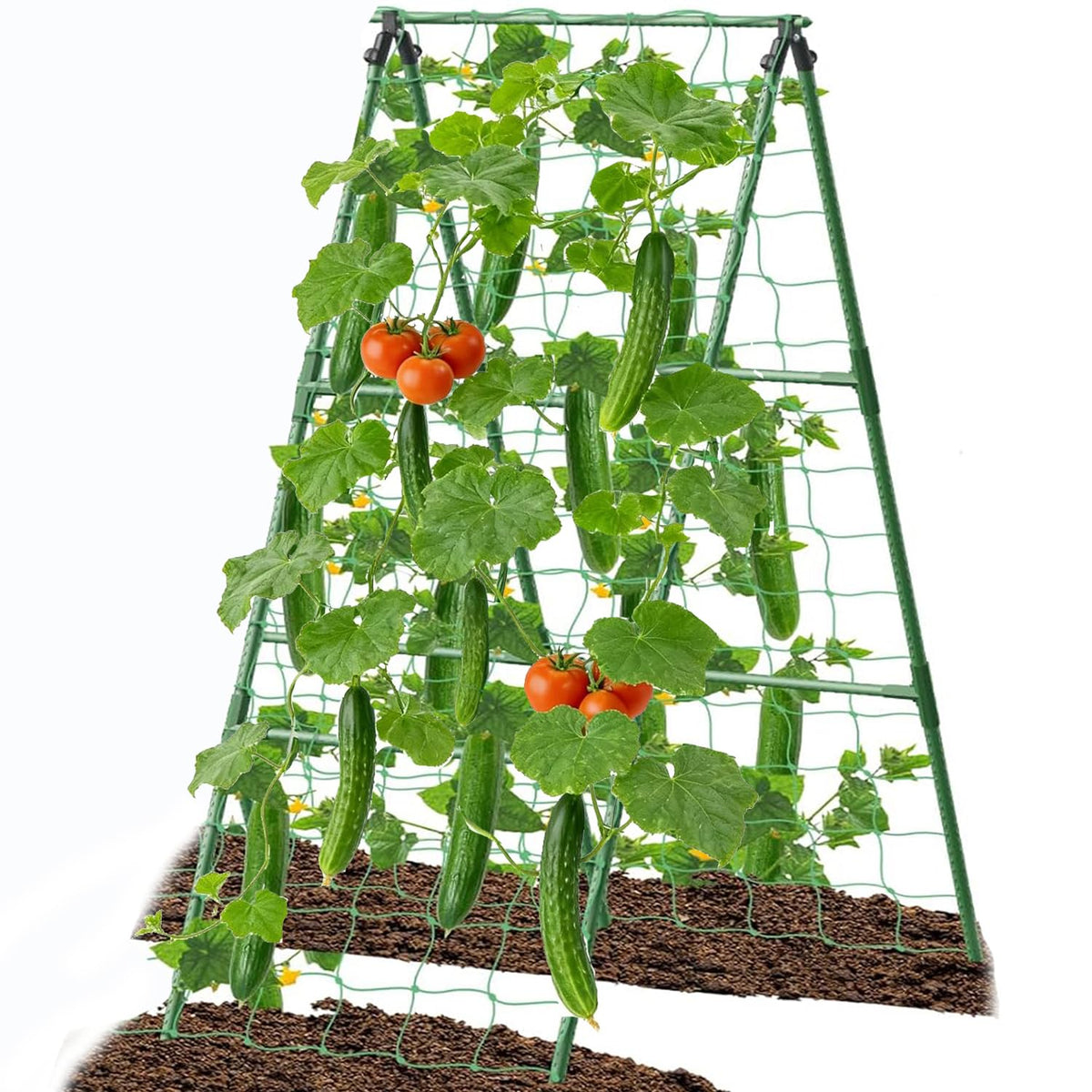 7Queen Cucumber Trellis Arch supports climbing plants and frees ground space.
