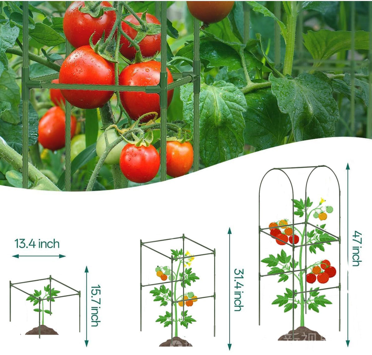 7Queen cucumber trellis placed over a raised bed to maximize space.