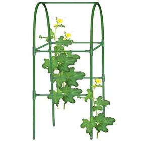 7Queen cucumber trellis with equal tees and cross design for sturdy vertical growth.