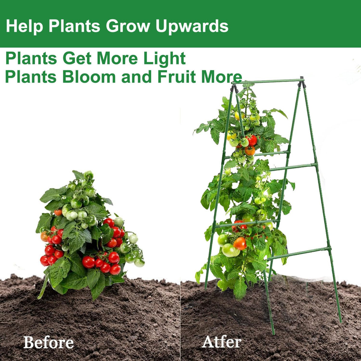 7Queen Equal Tee and Equal Cross design stabilizing cucumber, bean and tomato growth