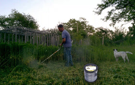 A ANLEOLIFE trimmer in action during yard work