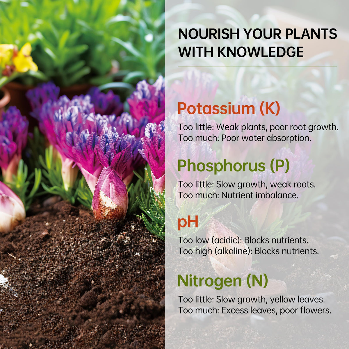 AAwipes color card comparison illustrating clear pH and nutrient level matching.
