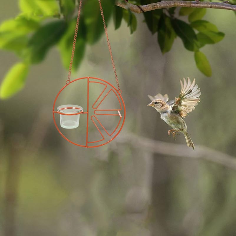 Abaodam easy-clean glass feeder cup for quick maintenance.