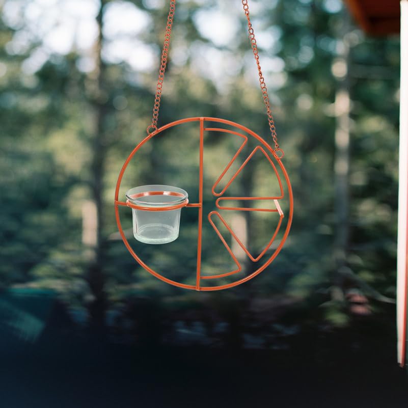Abaodam attracts hummingbirds through clear glass cups in your yard.