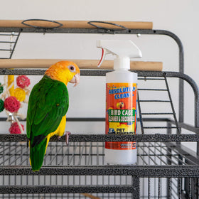 Absolutely Clean made in the USA pack of two bottles on shelf
