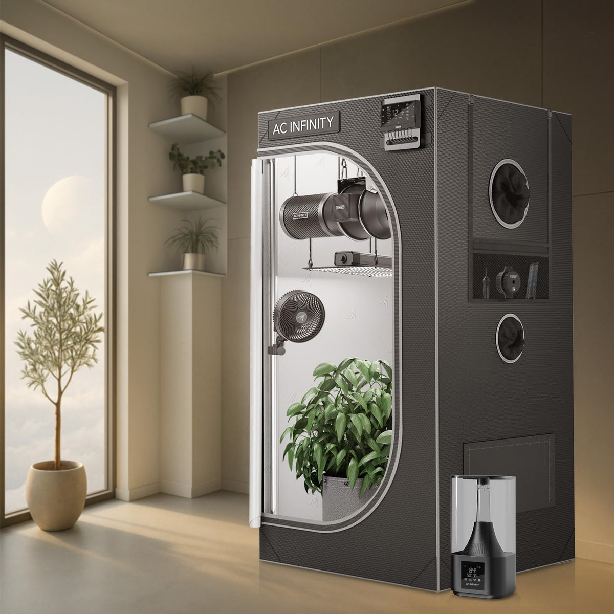 AC Infinity CLOUDLAB 642 dimensions 48x24x72 suited for compact two-plant setups.
