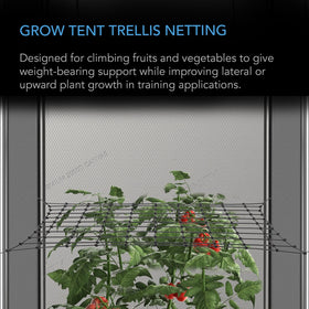 AC Infinity elastic trellis cords provide strong support for climbing plants.