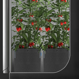 AC Infinity low-stress training-ready grow bags in action with rings