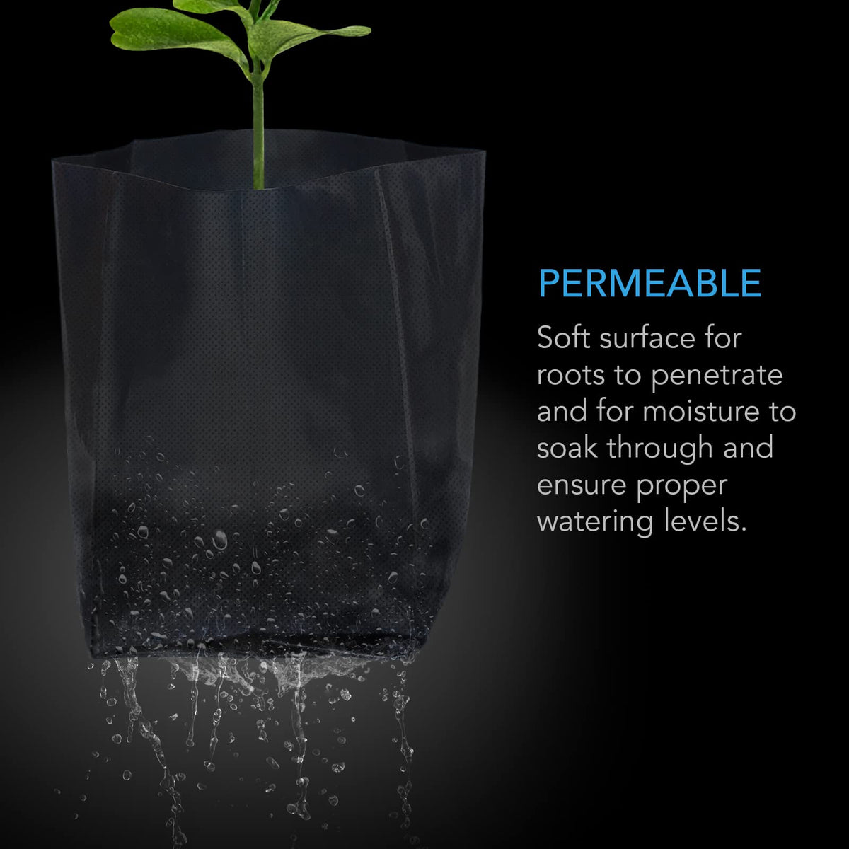 AC Infinity Nursery Bags transplant-ease setup demonstrates quick relocation without disturbing roots.