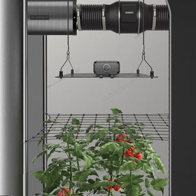 AC Infinity 3x3 trellis stretches to fit larger grow tents.