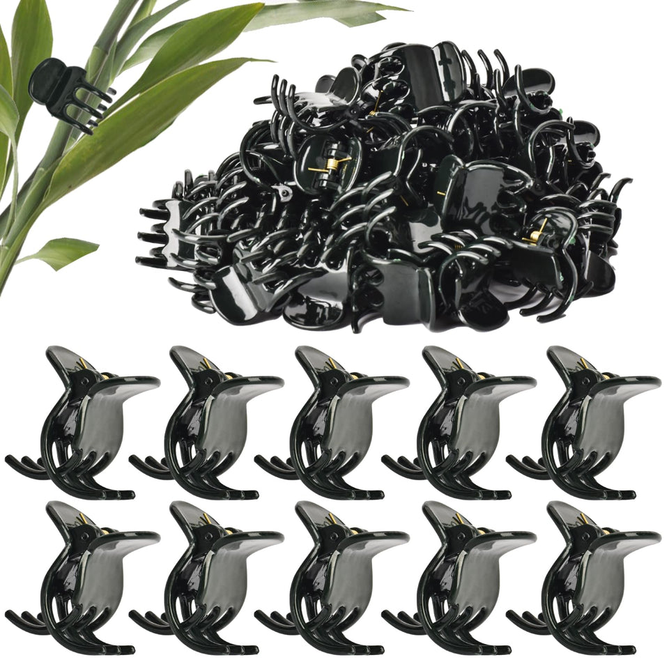 AccEncyc large plant clip securing orchid stems for upright growth