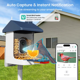 ACCULENZ AI identifies 10,000+ bird species for curious observers.
