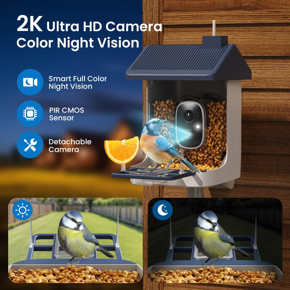 ACCULENZ full-color night vision reveals nocturnal visitors clearly.