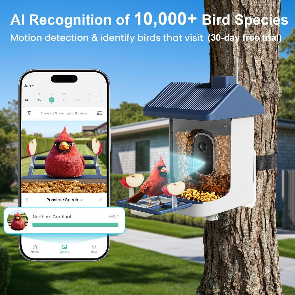 Solar-powered ACCULENZ feeder keeps birds fed with silent, maintenance-free operation.