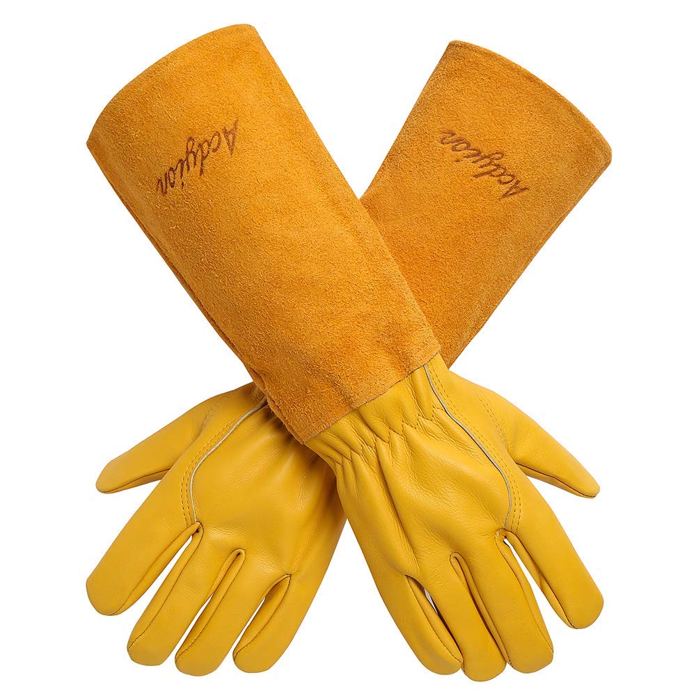 Acdyion Thorn Proof Gloves with forearm protection shield hands during heavy pruning