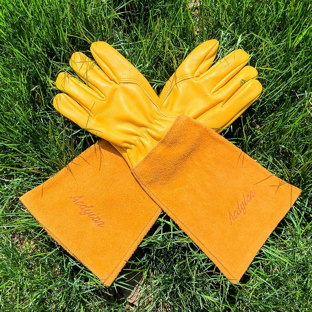 Acdyion Thorn Proof Gloves in-use during berry harvest protect wrists