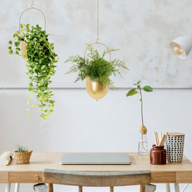 AceList indoor-outdoor plant display elevates balcony, porch, or window decor.