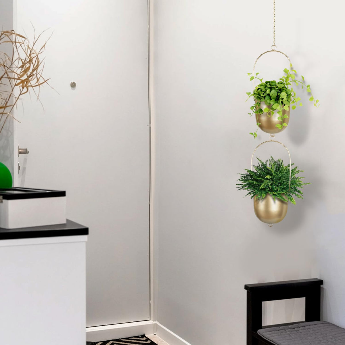 AceList modern hanging planter design adds contemporary charm to any space.