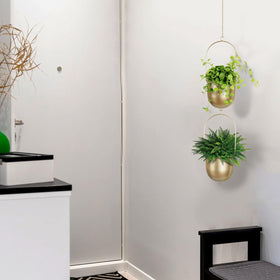 AceList modern hanging planter design adds contemporary charm to any space.