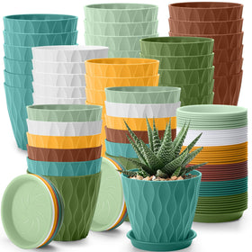 Acellegic 4-inch pot in multi-color pack for vibrant seedling organization.