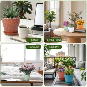 Acellegic six-color set supports color-coded planting projects.