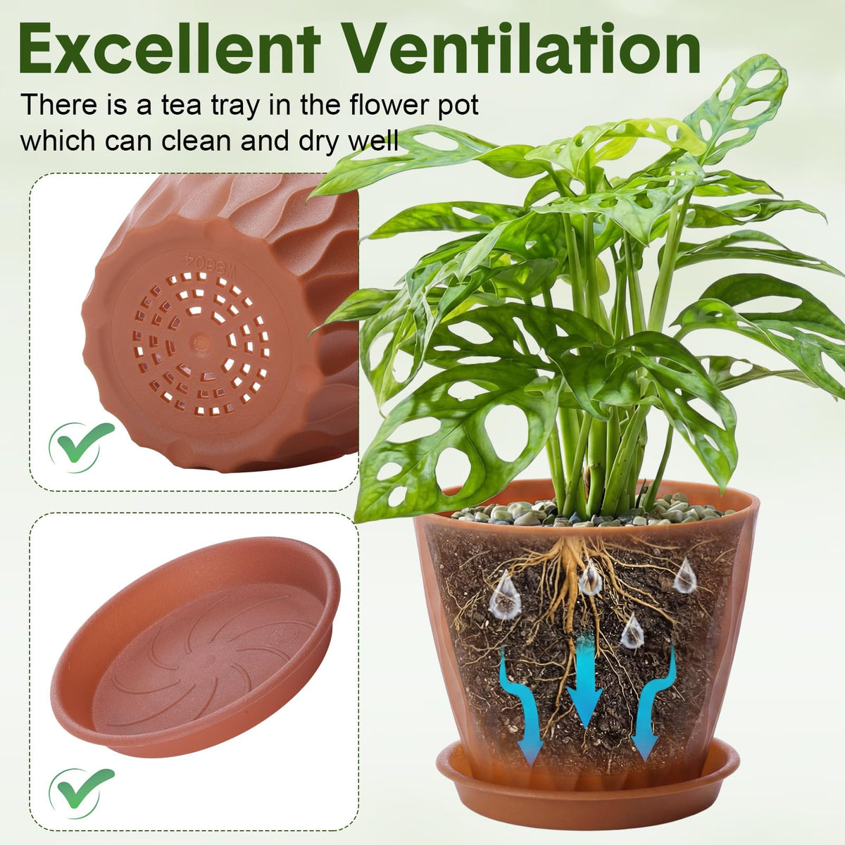 Acellegic indoor-outdoor pots suitable for succulents and herbs.