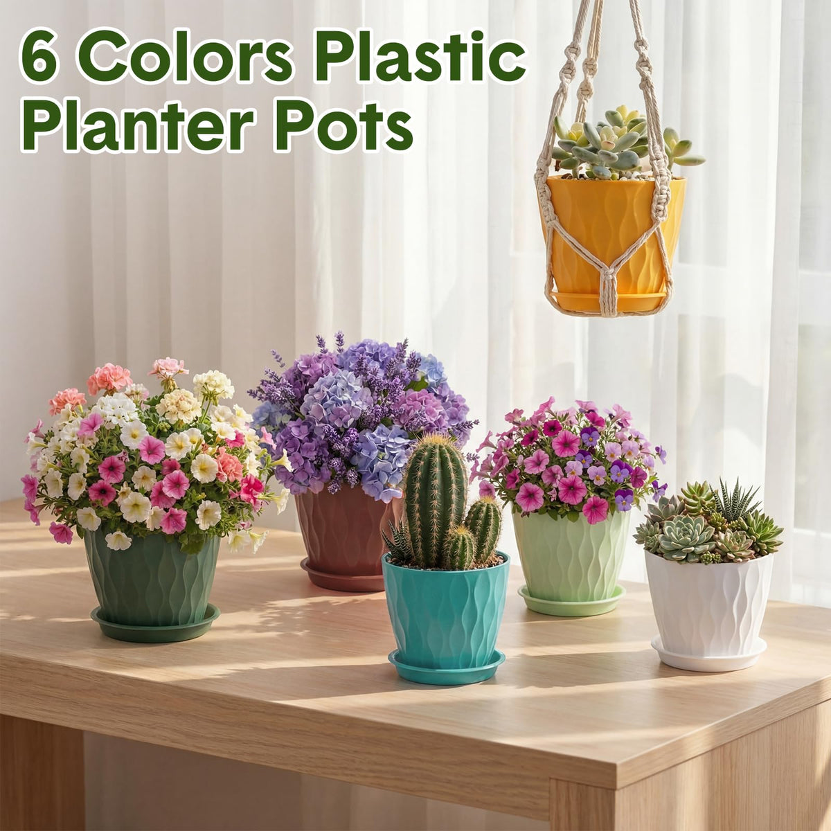 Acellegic 4inch pots on desks brighten office and study spaces.
