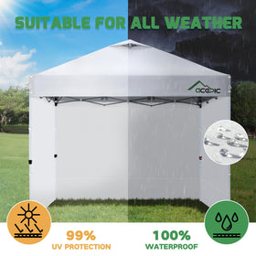 Acepic sidewall for 10x10 canopy shows versatile street vending use.