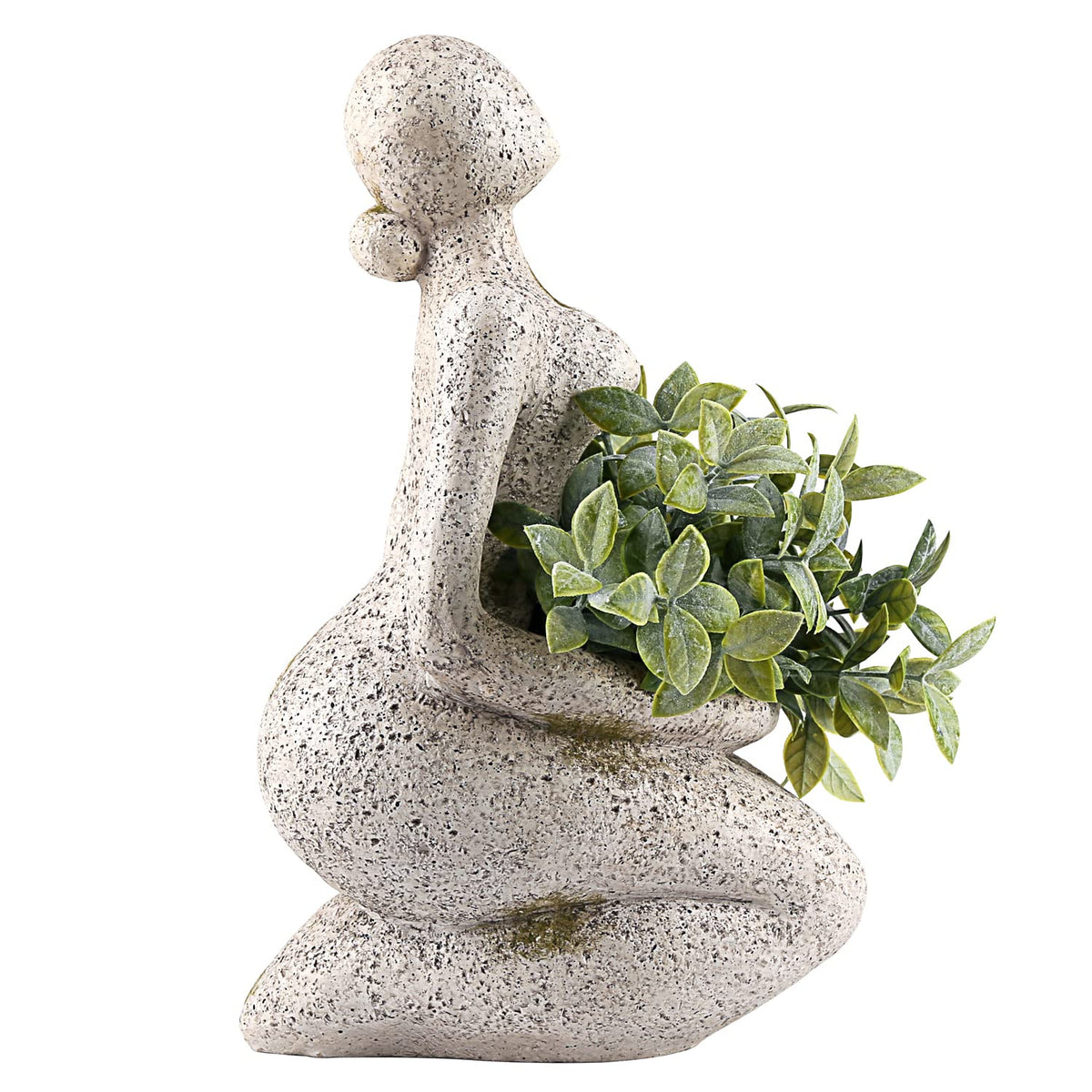 ACLEMA succulent-friendly cavity for planting varieties.