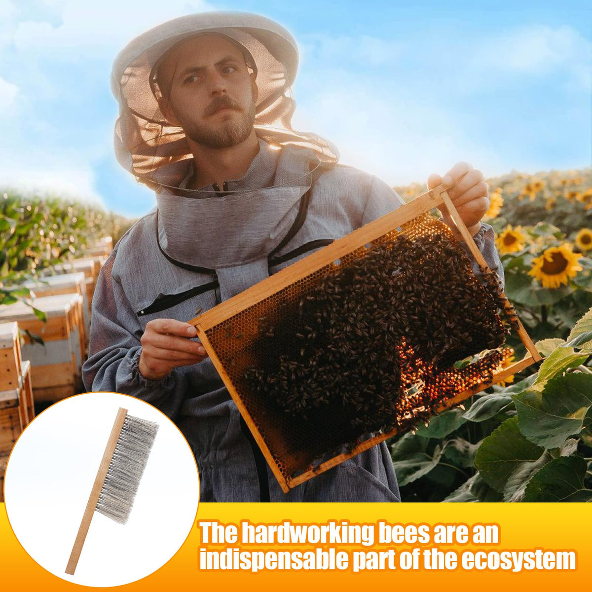 Acostop hive interior cleaning tool removes debris without agitation.