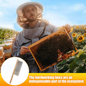 Acostop hive interior cleaning tool removes debris without agitation.