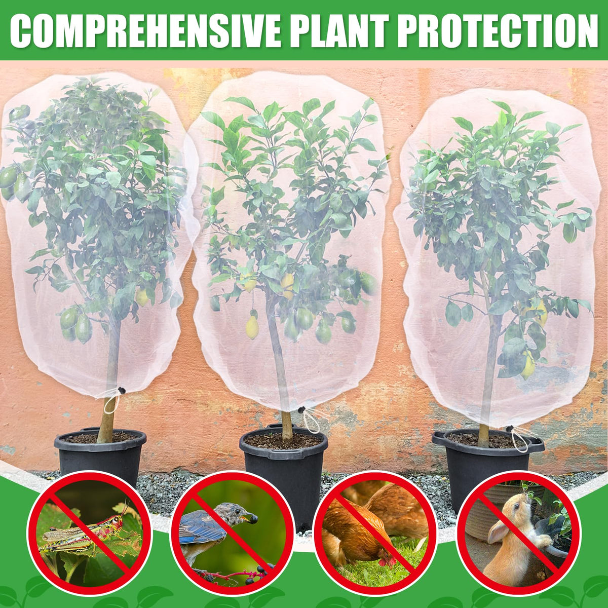 Acostop blueberries under netting protect fruit while preserving airflow.