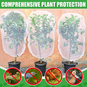 Acostop blueberries under netting protect fruit while preserving airflow.