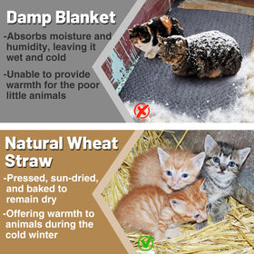 Acostop cat shelter straw image communicates soft, dry bedding ideal for small animal warmth.
