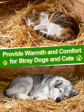 Acostop chicken coop bedding shows clean, odor‑free straw suitable for poultry housing.