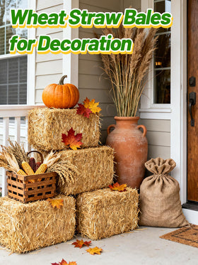 Acostop vacuum‑packaged wheat straw shows pre‑cleaned, ready‑to‑use packaging.