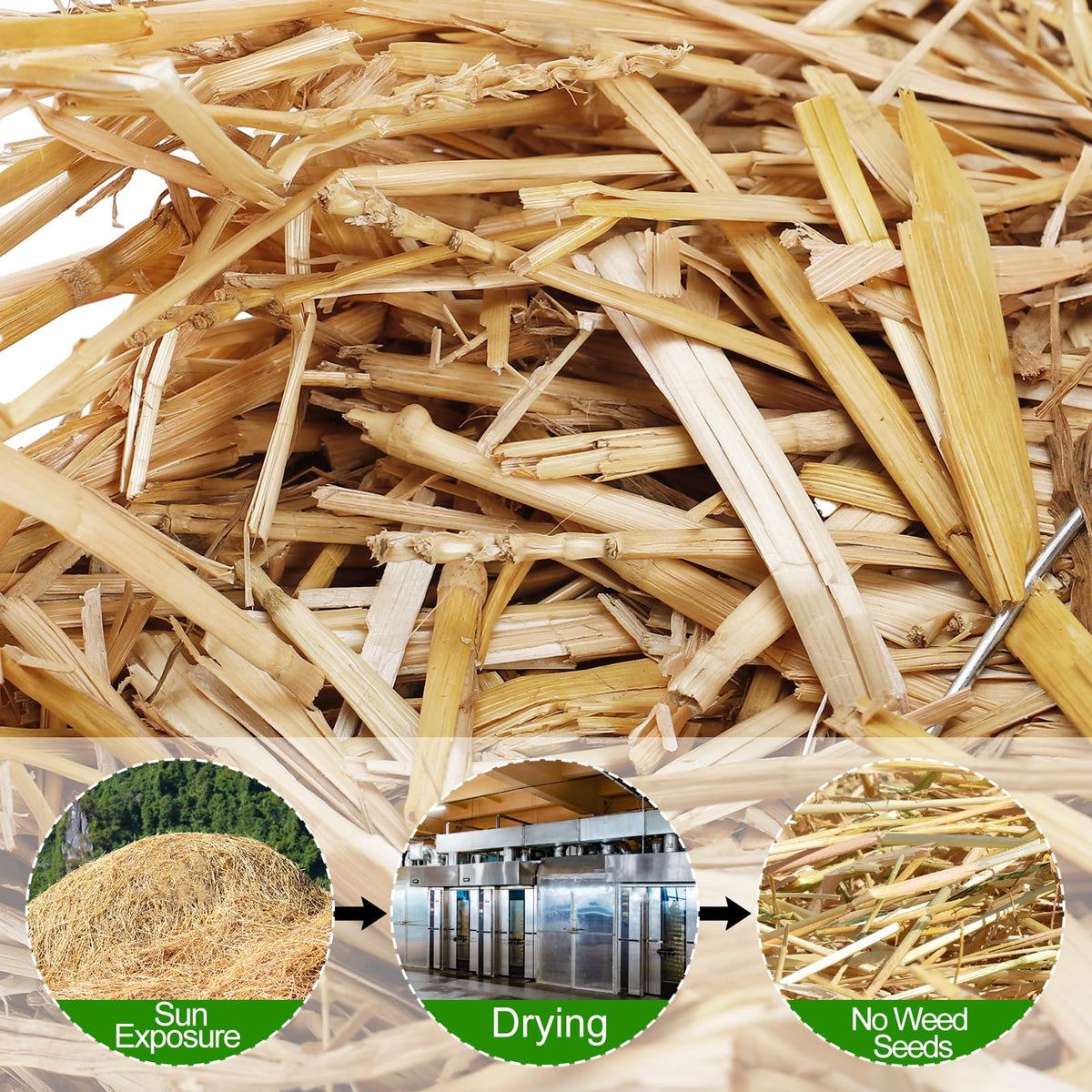 Acostop decorative straw adds rustic charm for seasonal displays and crafts.