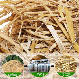 Acostop decorative straw adds rustic charm for seasonal displays and crafts.