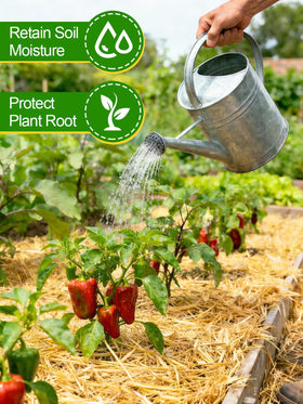 Acostop wheat straw garden mulch helps retain moisture and regulate soil temperature.