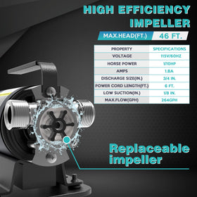 Acquaer pump connected to suction hose delivering efficient transfer down to 1/8 inch depth.