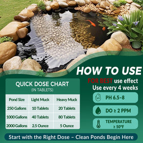 ActiClear Muck Clear contains beneficial bacteria and enzymes.